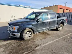 1FTEW1E42LFA96415 2020 FORD F-150