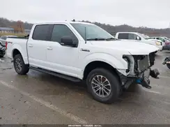 1FTEW1E42LKE61313 2020 FORD F-150