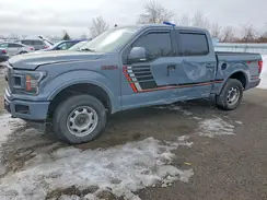 1FTEW1E43KFC37247 2019 FORD F-150