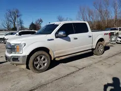1FTEW1E43KFC49253 2019 FORD F-150