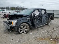 1FTEW1E43KFC82737 2019 FORD F-150