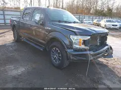 1FTEW1E43LKE33116 2020 FORD F-150