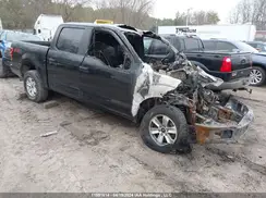 1FTEW1E44KFB85966 2019 FORD F-150