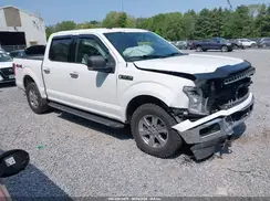 1FTEW1E44KFC73383 2019 FORD F-150