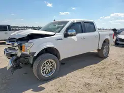 1FTEW1E44KKC32310 2019 FORD F-150