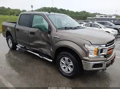 1FTEW1E44KKC53156 2019 FORD F-150