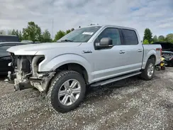 1FTEW1E44KKE07848 2019 FORD F-150