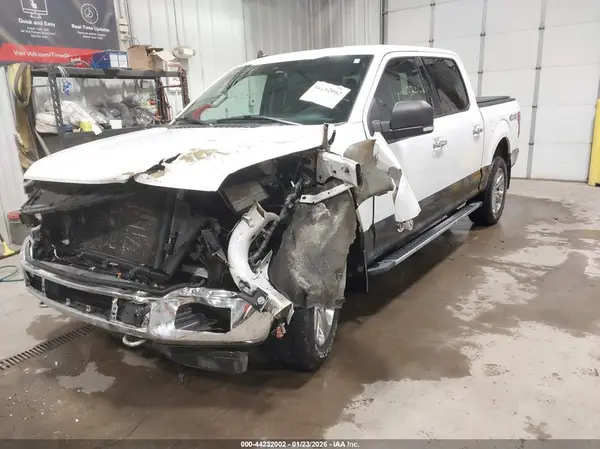 1FTEW1E44KKE36329 2019 FORD F-150 - Image 2