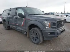 1FTEW1E44LFC50042 2020 FORD F-150