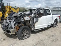 1FTEW1E45KFA92759 2019 FORD F-150