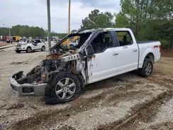1FTEW1E45KFB24321 2019 FORD F-150