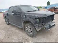 1FTEW1E46KKD66851 2019 FORD F-150