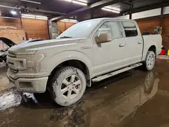 1FTEW1E46KKD69247 2019 FORD F-150