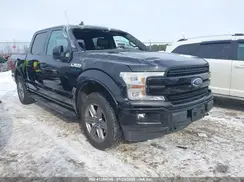 1FTEW1E46LFC77372 2020 FORD F-150