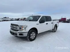 1FTEW1E46LKF12392 2020 FORD F-150