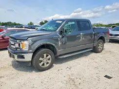 1FTEW1E47KKC45861 2019 FORD F-150