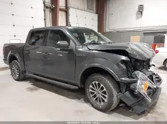 1FTEW1E47LKD04537 2020 FORD F-150