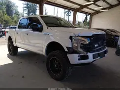 1FTEW1E48KFA35049 2019 FORD F-150