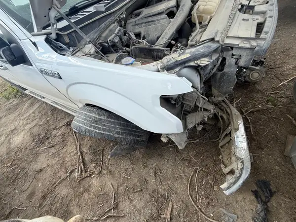 1FTEW1E48KFB70600 2019 FORD F-150 - Image 1