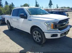 1FTEW1E48KKE82388 2019 FORD F-150