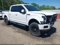 1FTEW1E48LFA01663 2020 FORD F-150