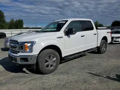 1FTEW1E48LFA25560 2020 FORD F-150