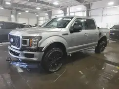 1FTEW1E48LFB20054 2020 FORD F-150