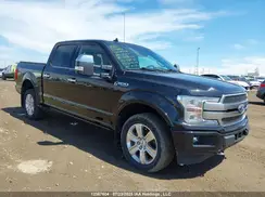1FTEW1E48LFB58318 2020 FORD F-150