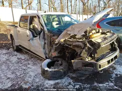 1FTEW1E49KFA10855 2019 FORD F-150
