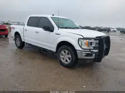 1FTEW1E49KKC02459 2019 FORD F-150