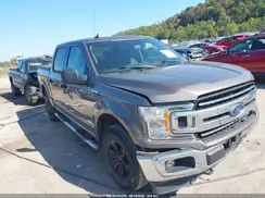 1FTEW1E49LFA24353 2020 FORD F-150
