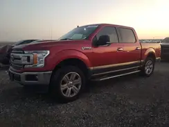 1FTEW1E49LFA37524 2020 FORD F-150