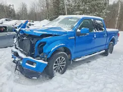1FTEW1E4XKKD60566 2019 FORD F-150