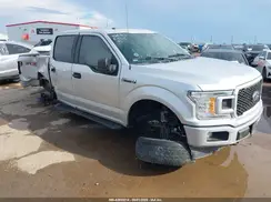 1FTEW1E4XKKD81501 2019 FORD F-150