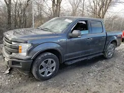 1FTEW1E4XKKE39803 2019 FORD F-150