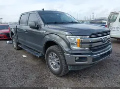 1FTEW1E4XLKD77515 2020 FORD F-150