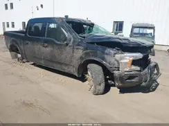 1FTEW1E50KFC38817 2019 FORD F-150