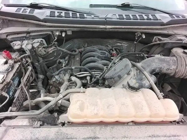 1FTEW1E50KKC27405 2019 FORD F-150 - Image 2