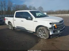 1FTEW1E50KKE28804 2019 FORD F-150