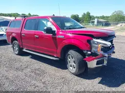 1FTEW1E50KKE93667 2019 FORD F-150