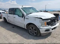 1FTEW1E50LKD03321 2020 FORD F-150