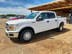 1FTEW1E51KFB19187 2019 FORD F-150