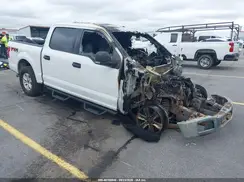 1FTEW1E51KFB64033 2019 FORD F-150