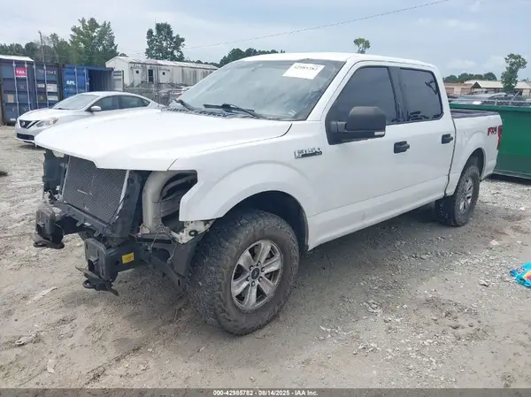 1FTEW1E51KFB91149 2019 FORD F-150 - Image 2