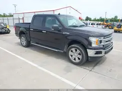 1FTEW1E51KFC43556 2019 FORD F-150