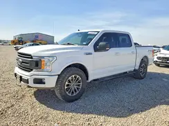 1FTEW1E51KKC13884 2019 FORD F-150