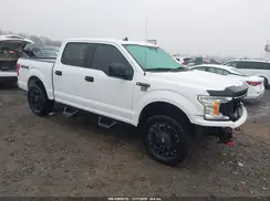 1FTEW1E51KKC37540 2019 FORD F-150
