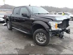 1FTEW1E51KKD55992 2019 FORD F-150