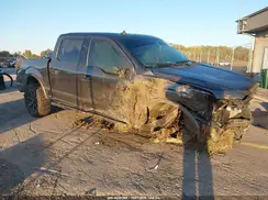 1FTEW1E51LFA43195 2020 FORD F-150