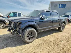 1FTEW1E51LFB24035 2020 FORD F-150